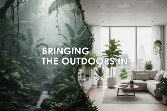 5 Ways to Bring Nature Into Your Home